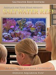 Aquarium For Your Home Presents: Saltwater Reef DVD Disc #9 - Fireplace For Your Home