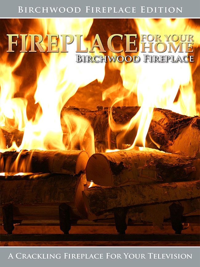 NF - Fireplace for Your Home