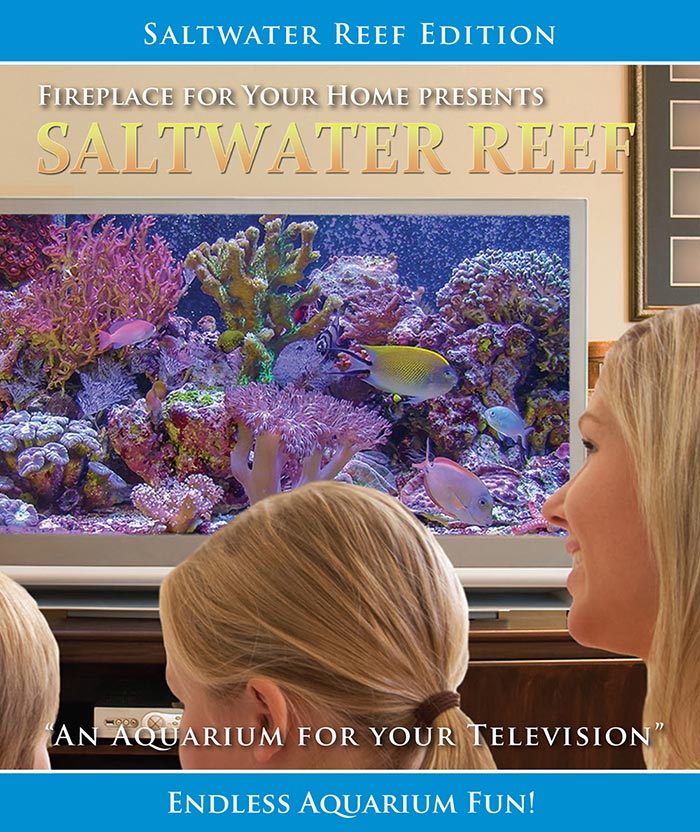 Aquarium For Your Home Presents: Saltwater Reef Blu-ray Disc #8 - Fireplace For Your Home
