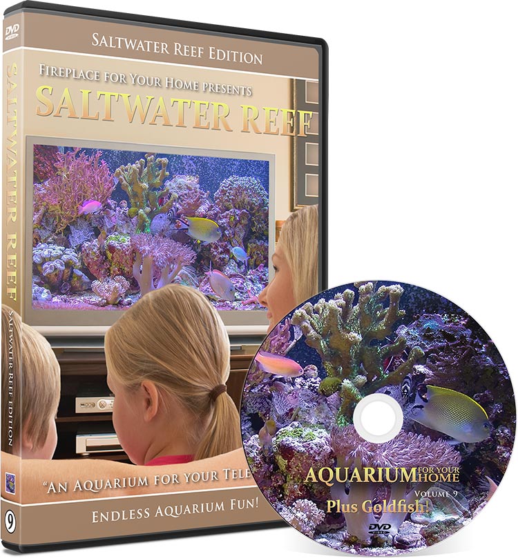 Aquarium For Your Home Presents: Saltwater Reef DVD Disc #9 - Fireplace For Your Home